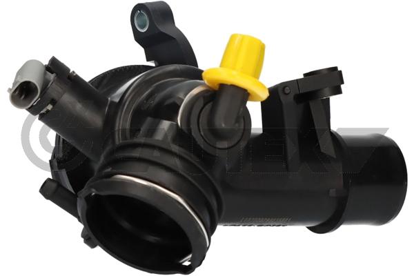 Thermostat, coolant (750808)