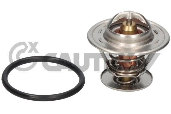 Thermostat, coolant (772474)