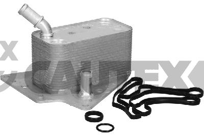 Oil Cooler, engine oil (768815)