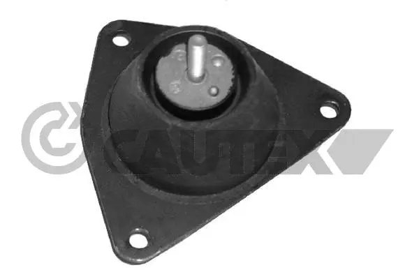 Mounting, engine (020900)