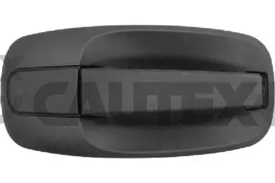 Exterior Door Handle (767776)