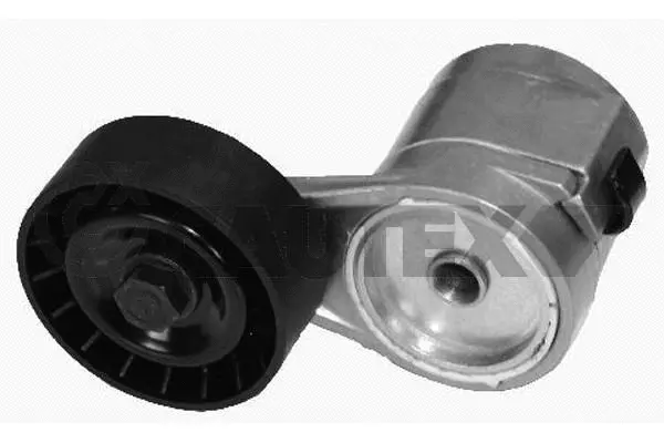 Belt Tensioner, V-ribbed belt (756821)