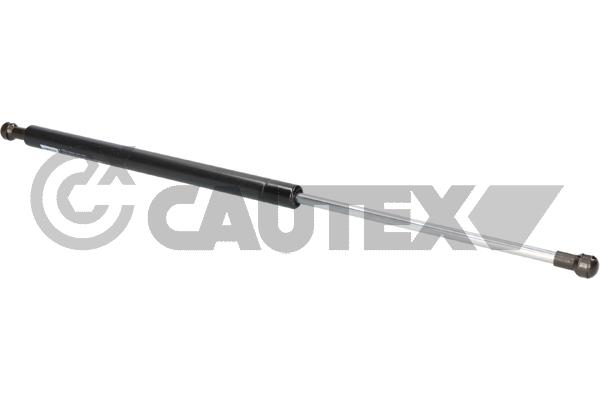 Gas Spring, bonnet (773418)