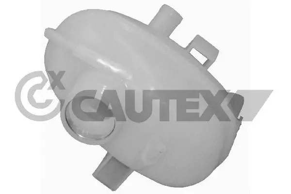 Expansion Tank, coolant (481063)
