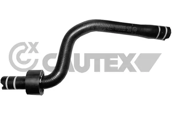 Radiator Hose (036737)