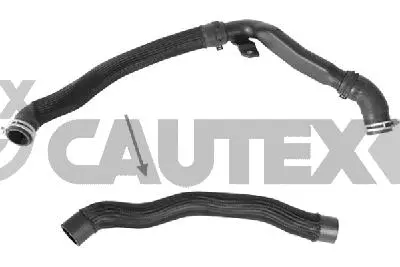Radiator Hose (773567)