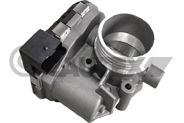 Throttle Body (766805)