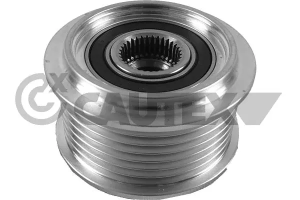 Alternator Freewheel Clutch (754686)