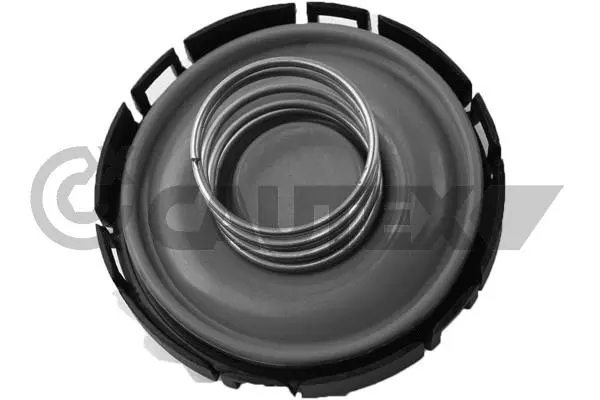 Membrane, crankcase ventilation (765039)