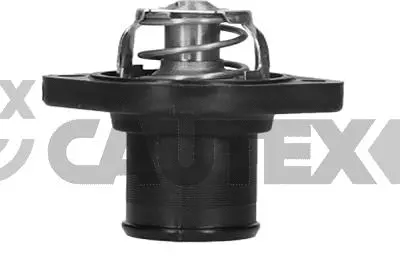 Thermostat, coolant (952191)