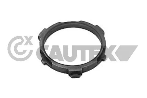 Synchronizer Ring, manual transmission (010535)