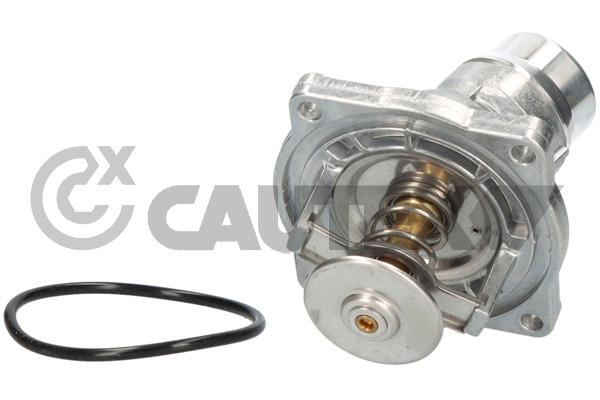 Thermostat, coolant (750818)