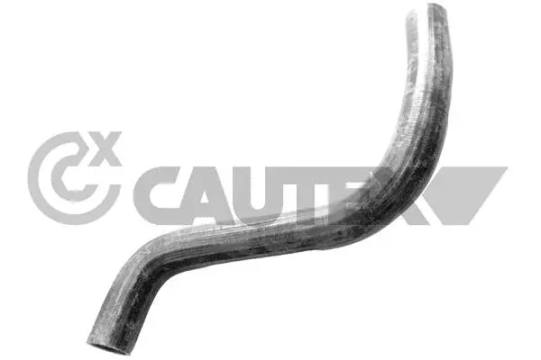 Radiator Hose (769687)