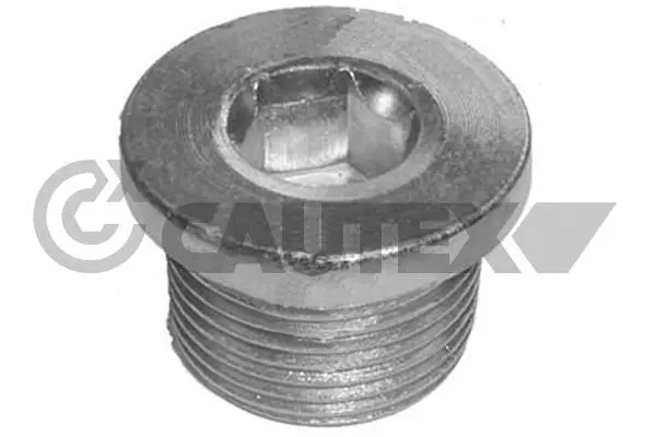 Screw Plug, oil sump (756772)