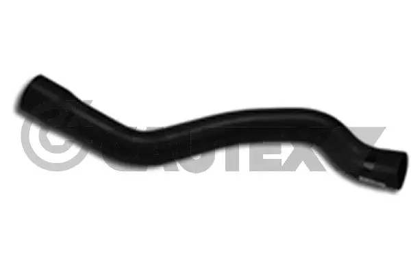 Radiator Hose (186051)