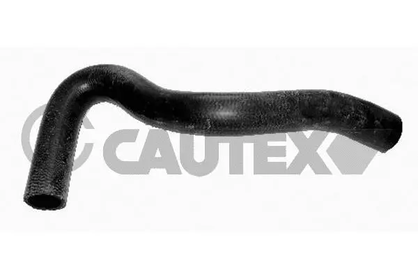 Radiator Hose (486519)