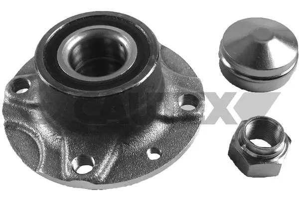 Wheel Hub (769881)