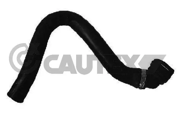 Radiator Hose (011344)