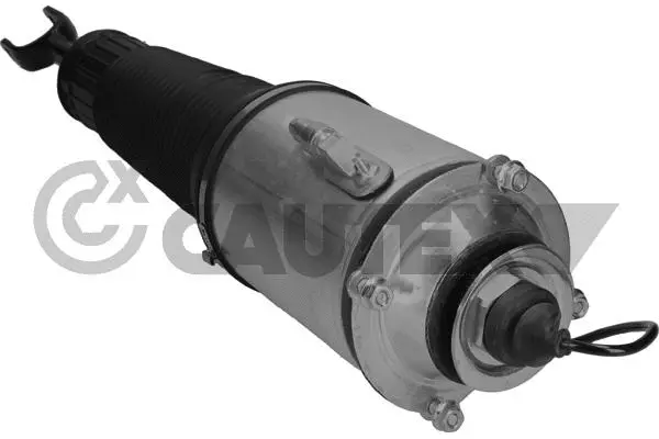 Air Suspension Strut (752012)