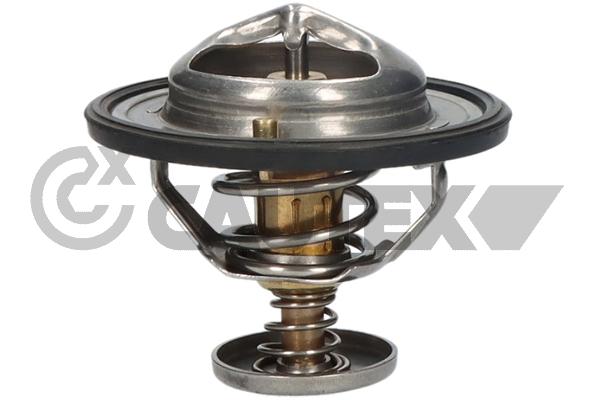 Thermostat, coolant (771866)