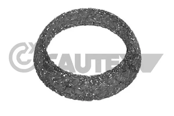 Seal Ring, exhaust pipe (954197)