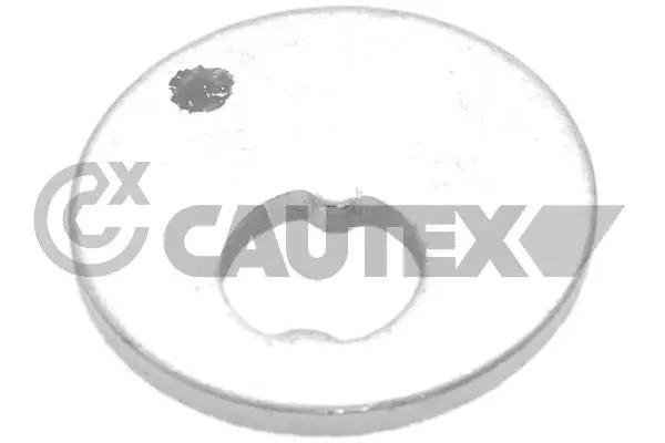 Caster Shim, axle beam (758502)
