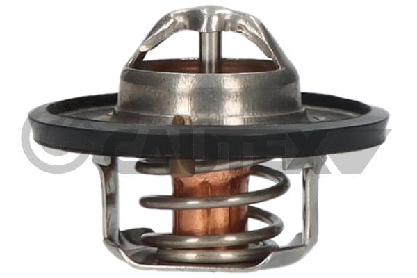 Thermostat, coolant (771867)