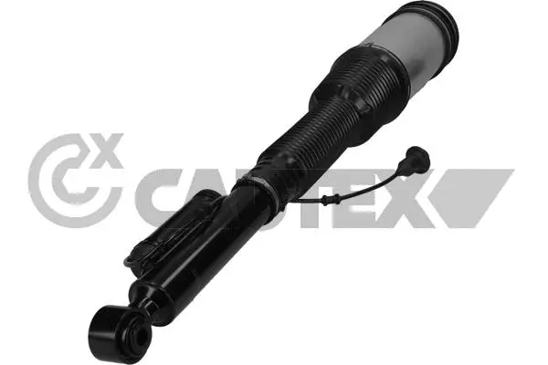 Air Suspension Strut (751977)