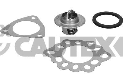 Thermostat, coolant (775412)