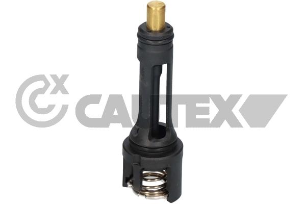 Thermostat, coolant (766826)
