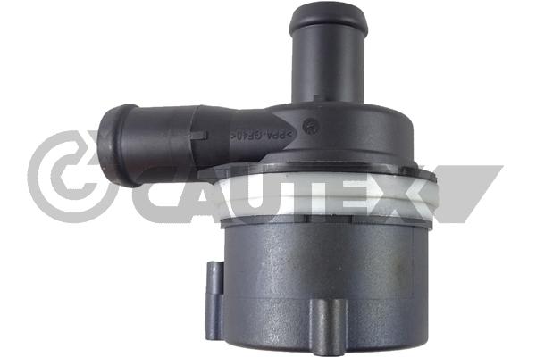 Auxiliary Water Pump (cooling water circuit) (768118)