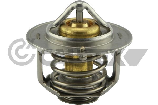 Thermostat, coolant (756902)