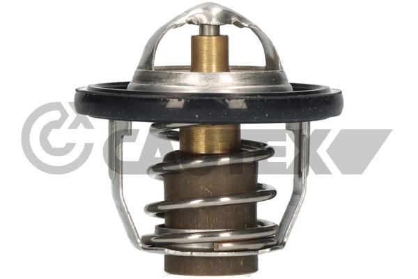 Thermostat, coolant (756893)