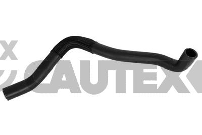 Radiator Hose (775822)