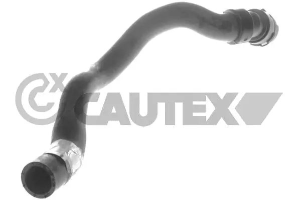 Radiator Hose (753565)