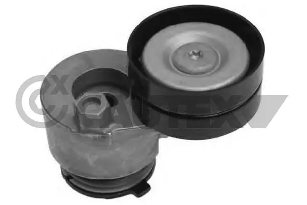 Belt Tensioner, V-ribbed belt (021513)