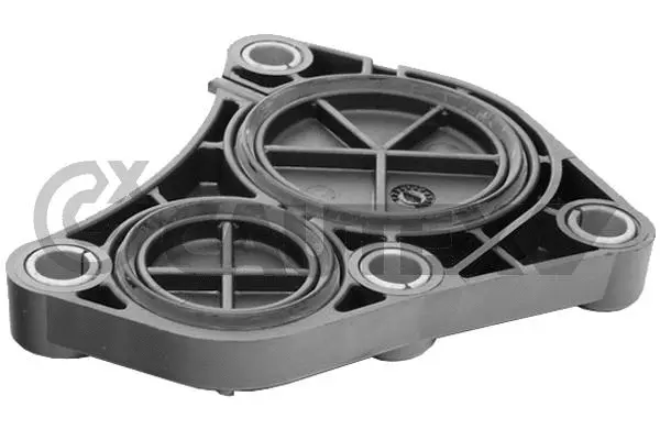 Cylinder Head Cover (756750)