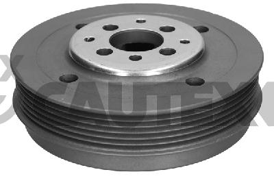 Belt Pulley, power steering pump (774788)