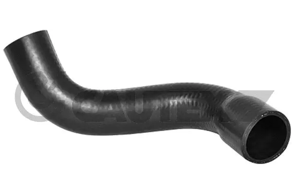 Radiator Hose (036717)