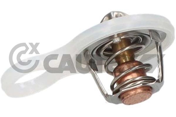 Thermostat, coolant (772117)
