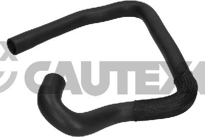 Radiator Hose (036214)