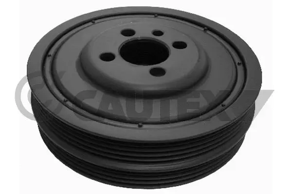 Belt Pulley, crankshaft (460964)