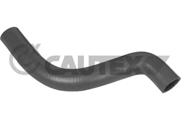 Radiator Hose (026317)