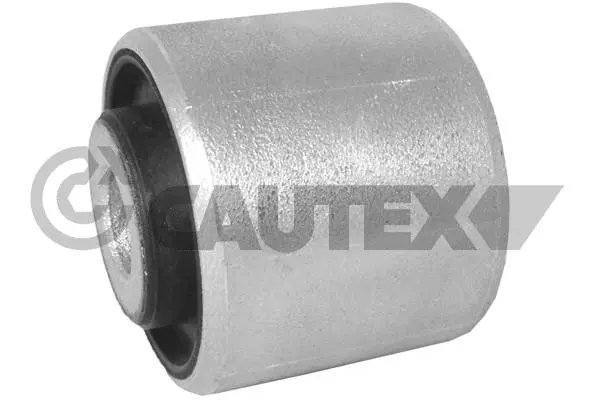 Mounting, control/trailing arm (461153)