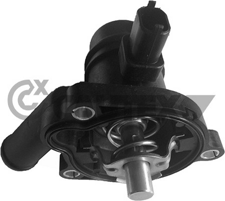 Thermostat, coolant (758411)
