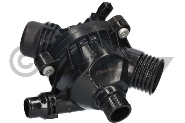 Thermostat, coolant (756857)