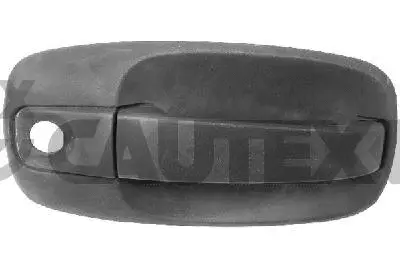 Exterior Door Handle (767774)