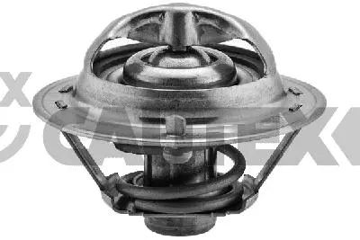 Thermostat, coolant (772127)