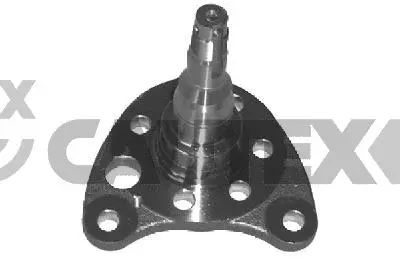 Wheel Hub (461006)