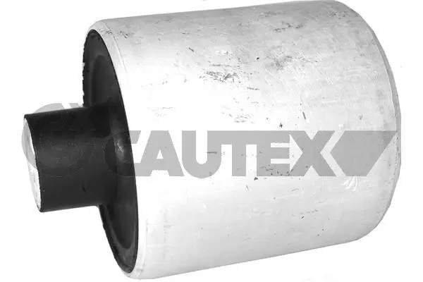 Mounting, control/trailing arm (755430)